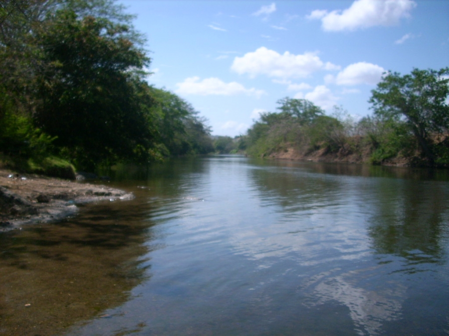 CENA aprueba monitoreo de calidad del agua del río La Villa  Critica