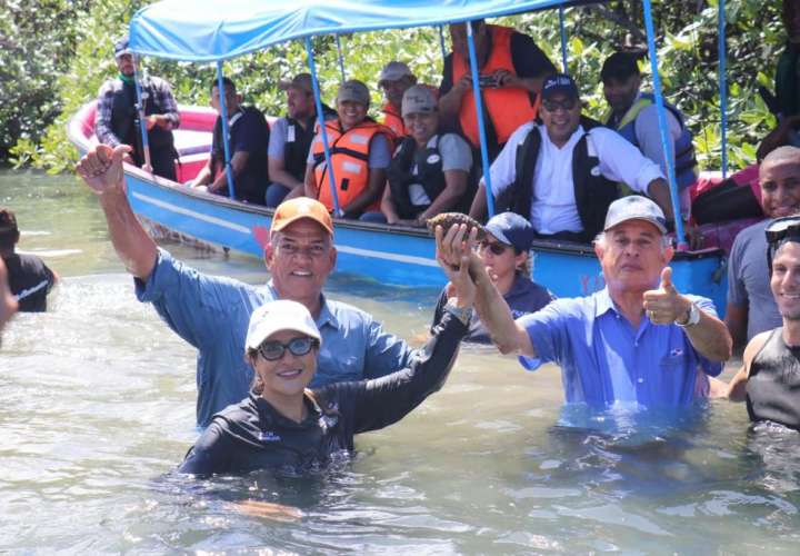 Colón exportará pepino de mar