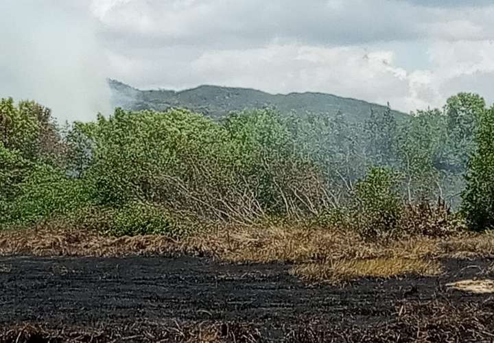 Incendio afecta 7 hectáreas en Punta Chame