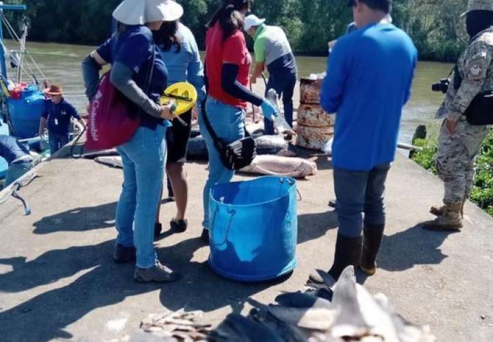 Personal de MiAmbiente en conjunto con unidades de Senan inspeccionan la embarcación.