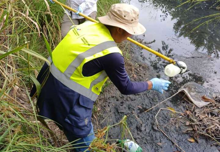 Inspección de campo por funcionarios de Mi Ambiente.