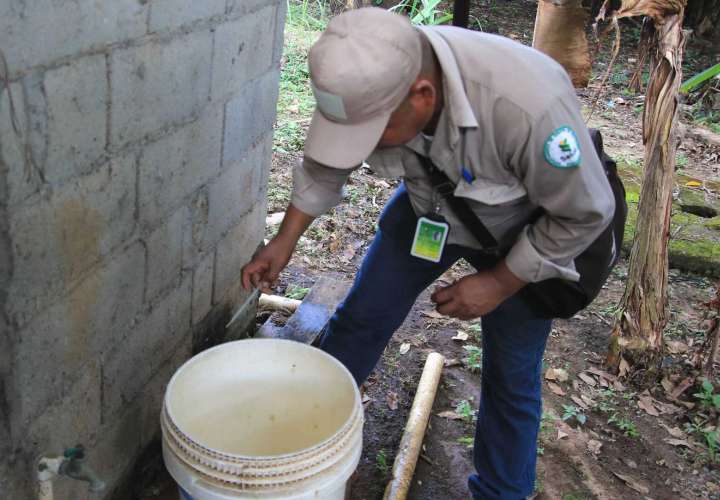 Eliminar los criaderos del mosquitos.