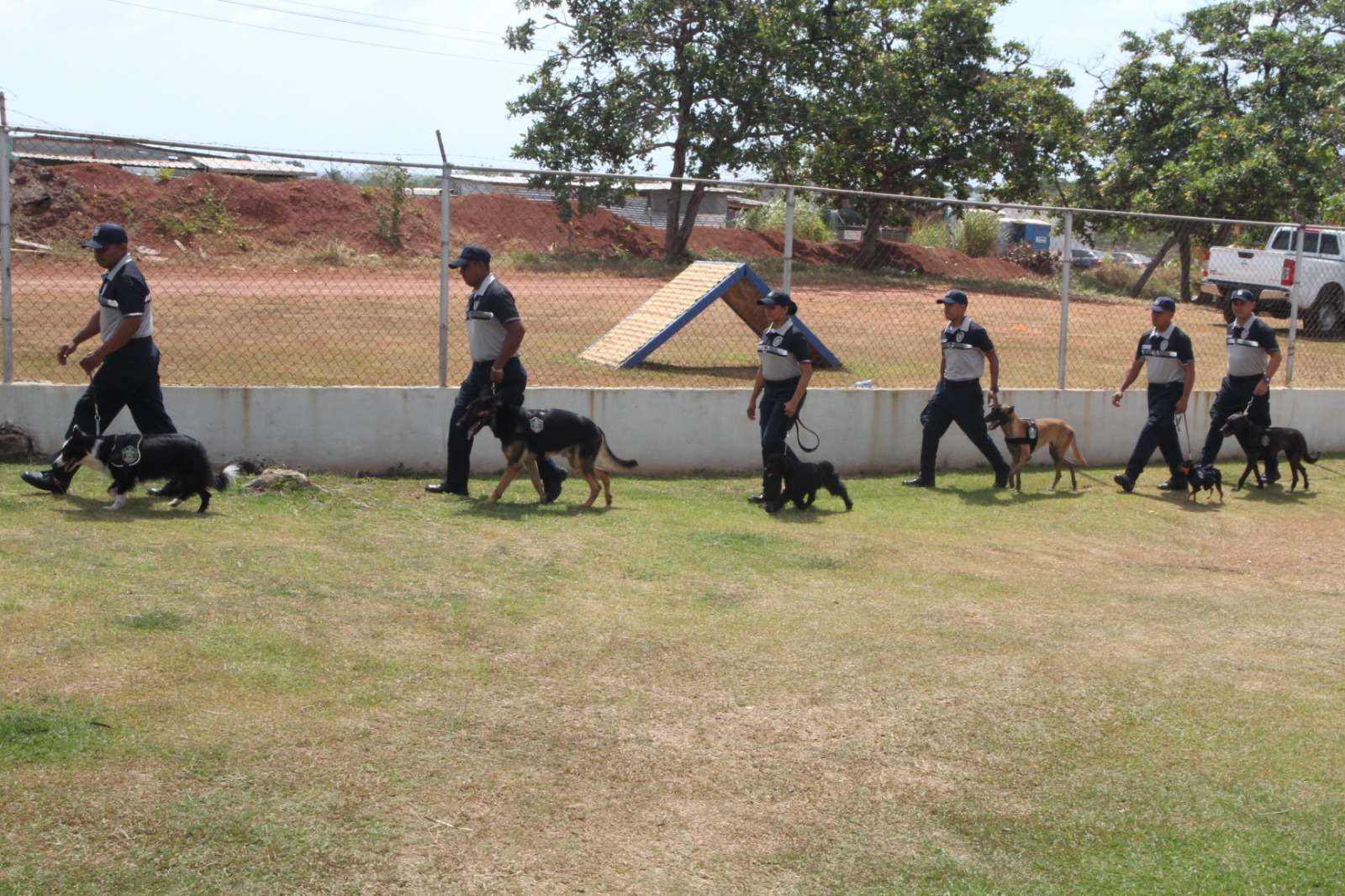 Perros adiestrados para operaciones antidrogas y de seguridad.