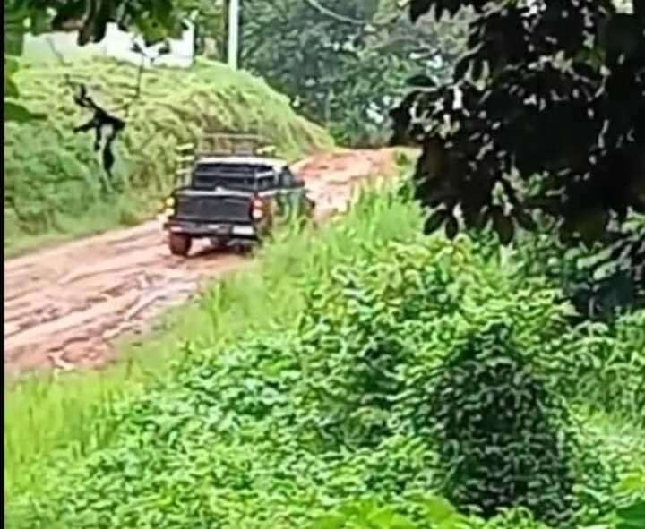 Pésima condición de la carretera.