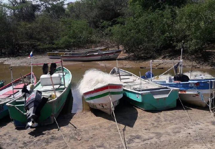 Estos son los botes pesqueros en el área. Los pescadores se quejan que los han dejado sin espacio para atracar, debido a proyectos turísticos. 