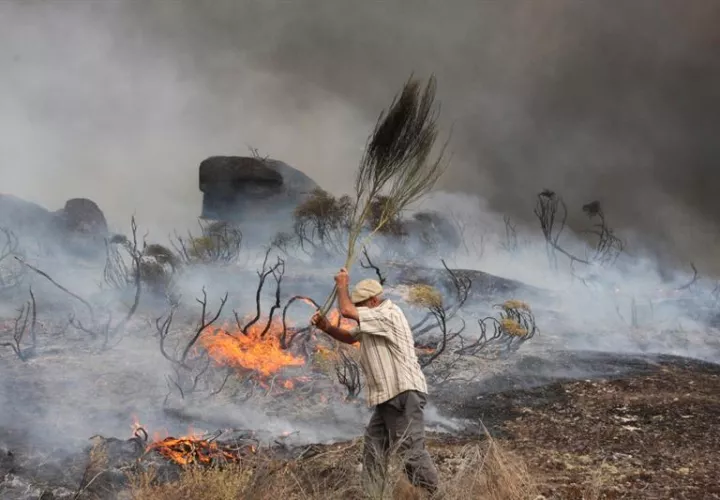 Un hombre trata de sofocar las llamas del incendio desatado la población de Almeidinha, en el distrito de Guarda, cerca de la frontera con la provincia española de Salamanca, donde las llamas llegaron hasta el casco urbano. EFE