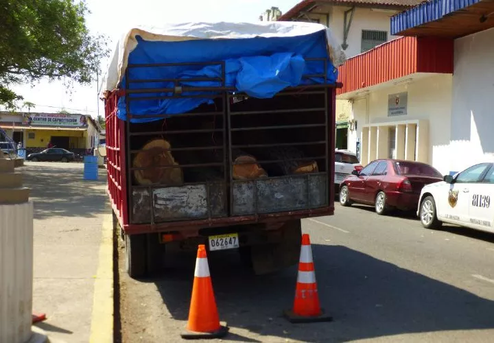 El camión donde cargaban la madera.