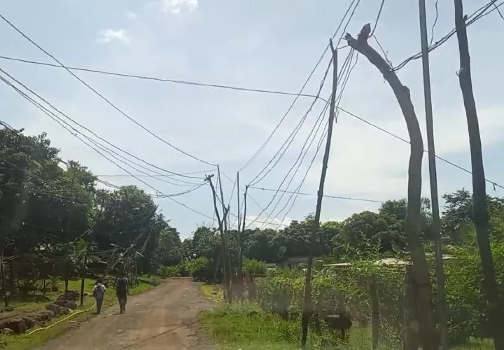 En el Progreso, Corregimiento de Puerto Caimito, en La Chorrera, hay una maraña de cables en improvisados troncos secos. FOTO/ERIC MONTENEGRO