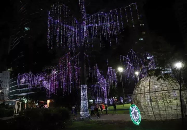 Fuertes críticas ante el pobre alumbrado navideño en la capital. 