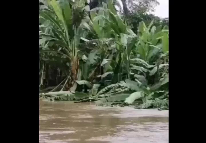  Preliminarmente se habla de unas 900 familias afectadas en 15 comunidades por la crecida del río Cricamola.