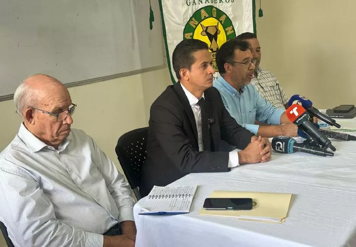 Productores lácteos anuncian la activación de Pro Lácteos de Panamá.