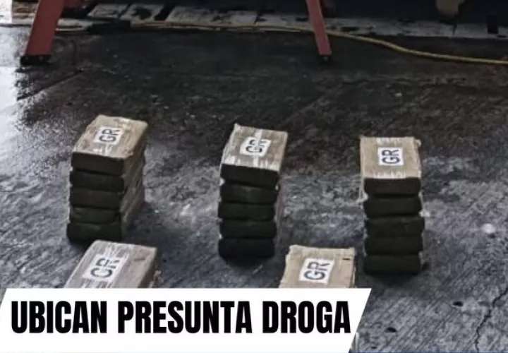 Paquetes de droga dentro de contenedor.