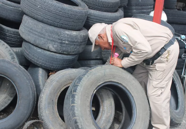 Piden a la eliminar  los criaderos del mosquito Aedes Aegyti, transmisor del dengue y otras enfermedades.